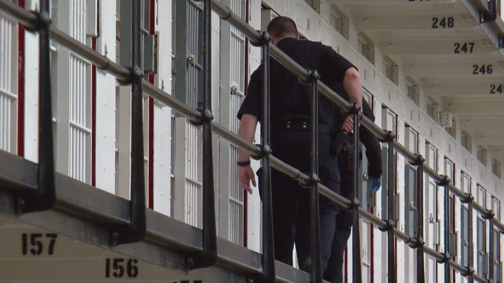 More than two dozen Georgia prisons on lockdown over security concerns following inmate fight — Brookhaven Health news